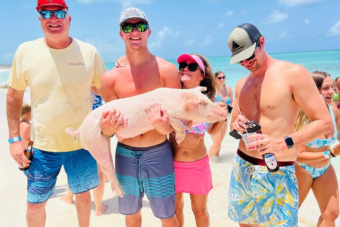 Perfect Day Swimming Pigs, Turtles, Reef Snorkel & Lunch - How much value do you get for $189?
