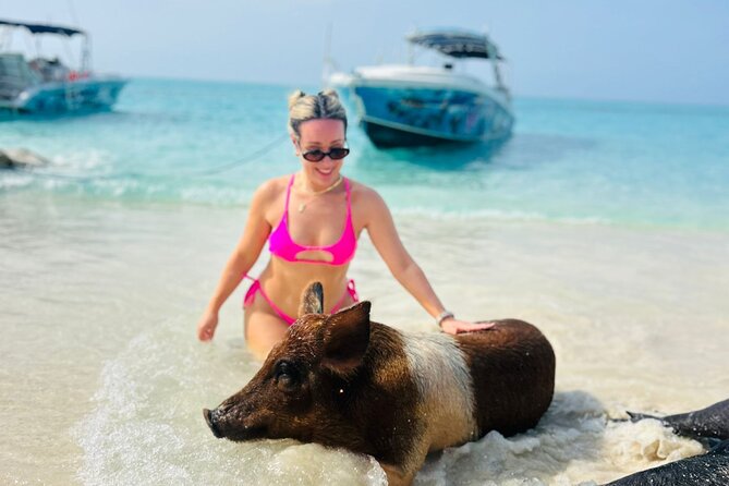 Perfect Day Swimming Pigs, Turtles, Reef Snorkel & Lunch - Turtle watching at the Green Cay Sanctuary