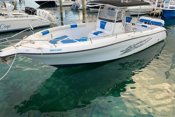 Pigs Beach, Green Turtle Cay, Rose Island Private Tour - Three Bahamian stops from one Nassau boat