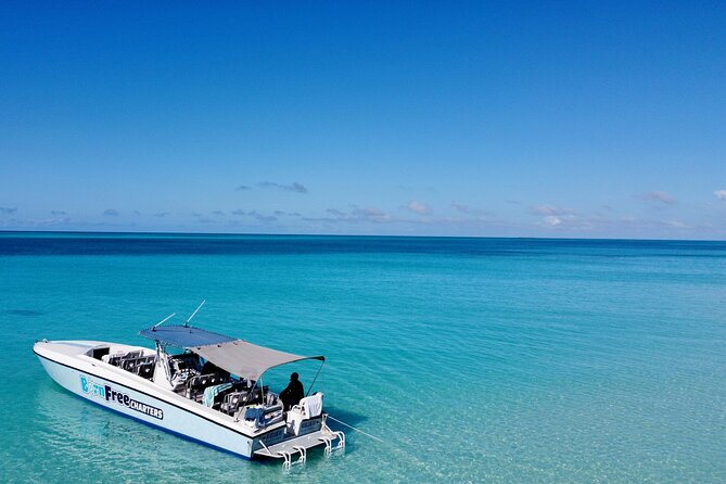 Pink Sand Beach and Swimming Pigs Adventure from Nassau - The Spanish Wells sandbar and its sea swings