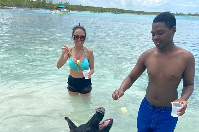 Powerboat and Snorkel Experience with Swimming Pigs and Turtles - A fast, varied morning on the water