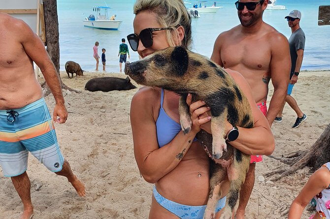 Powerboat and Snorkel Experience with Swimming Pigs and Turtles - Sandy Cay and the Gilligan’s Island connection