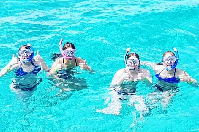 Powerboat and Snorkel Experience with Swimming Pigs and Turtles - Green Cay turtle viewing