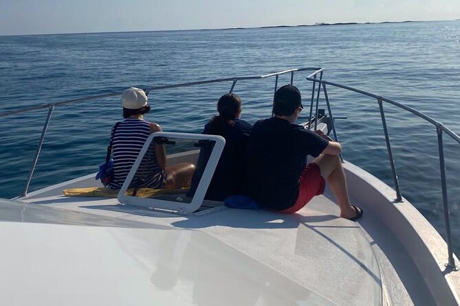Private 38' Defender Sportfishing/Swim with Pigs in Nassau - A private Nassau boat day with several ways to spend it