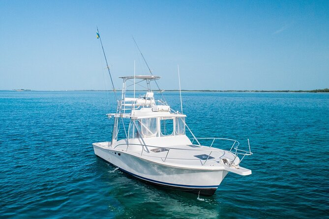 Private Bahamas Half-Day Fishing Tour from New Providence - Who gets the most from the $925 price