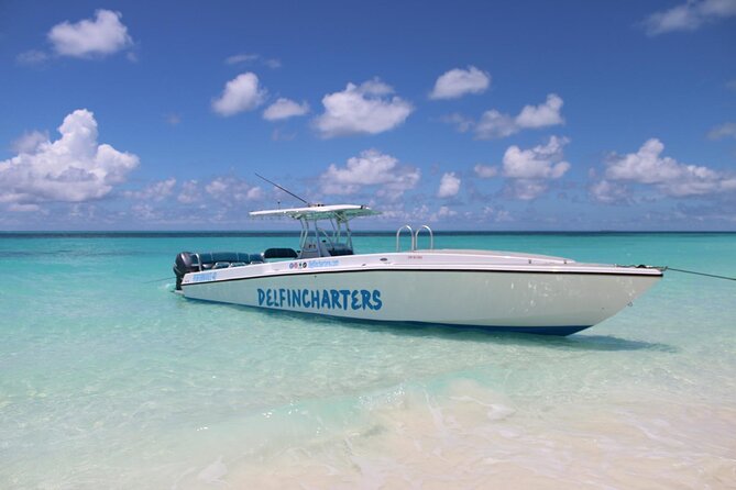Private Boat Swim and Snorkel Adventure to Rose Island - Key points to know before you book
