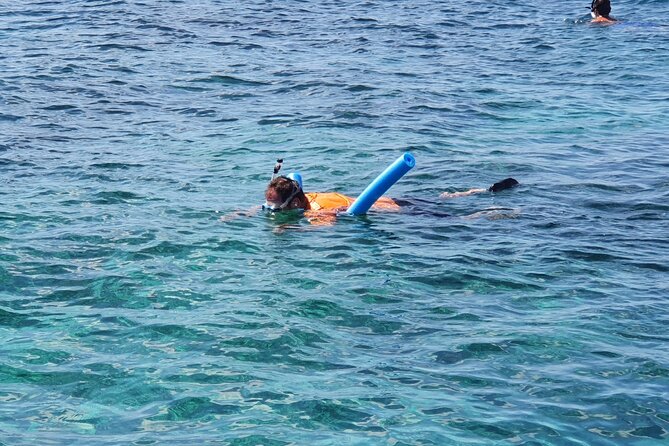 Private Charter for snorkeling, swimming pigs, turtles & fishing.... - Looking for turtles in the water