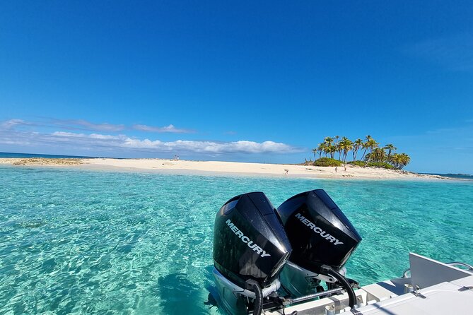 Private Charter for snorkeling, swimming pigs, turtles & fishing.... - The pig interaction and its extra charge