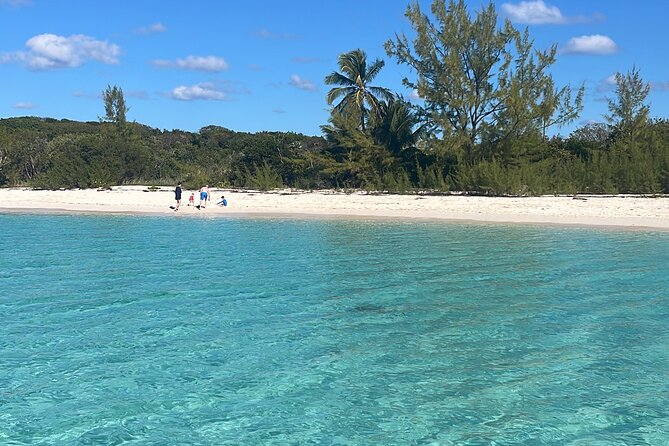 Private Eleuthera Island: Swim With Pigs, Turtles & Stingrays - Snorkeling Near Turtles and Stingrays at Spanish Wells