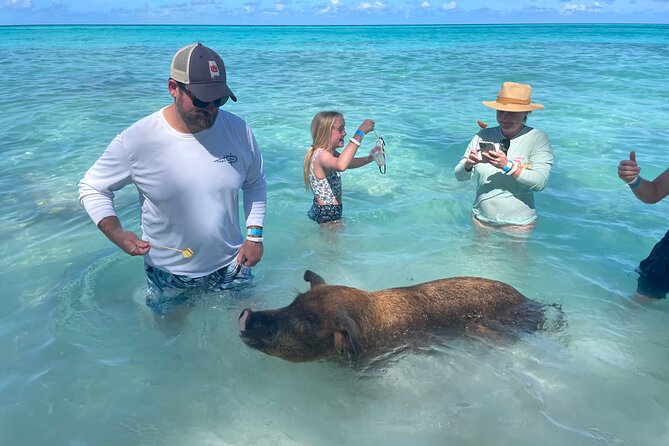 Private Full Day Cruise Tour in Rose Island with Snorkeling - White sand and quiet time on Rose Island
