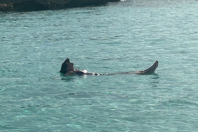 Private Full Day Cruise Tour in Rose Island with Snorkeling - Leaving Nassau with Atlantis in view