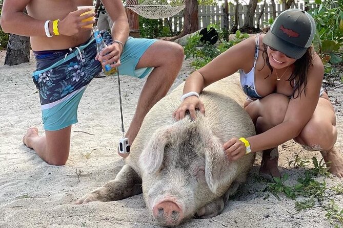 Private GroupTour Pigs/Turtles/Snorkeling/Lunch/Pickup/Dropoff - Key points to know before booking