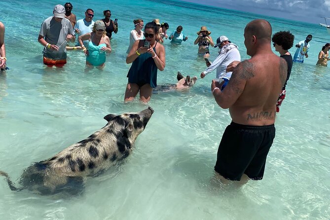 Private Rose Island, Swimming Pigs, Snorkeling and Turtles - A private Nassau boat day with room to change plans