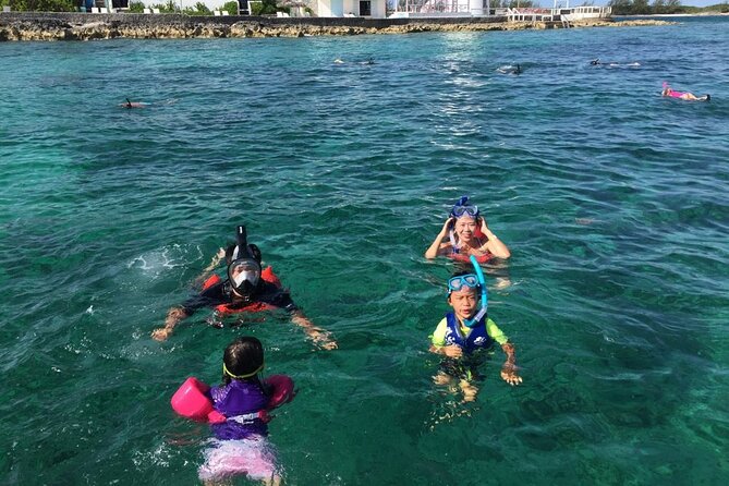 Private Rose Island, Swimming Pigs, Snorkeling and Turtles - Green Cay and the search for sea turtles