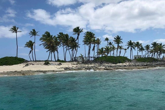 Private Rose Island, Swimming Pigs, Snorkeling and Turtles - Swimming pigs, with an important footnote
