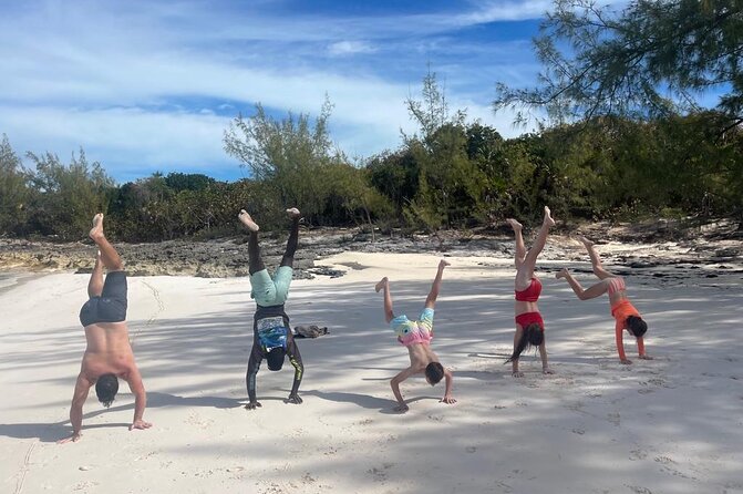 Private Rose Island, Swimming Pigs, Snorkeling and Turtles - What is included, and what can raise the bill