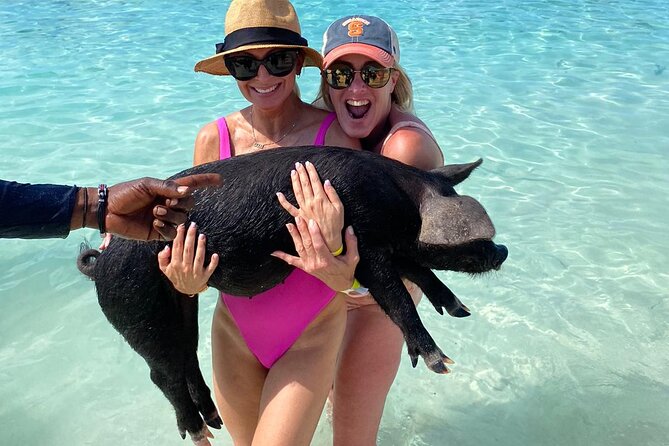 Private Rose Island, Swimming Pigs, Snorkeling and Turtles - Rose Island: the quiet beach reward