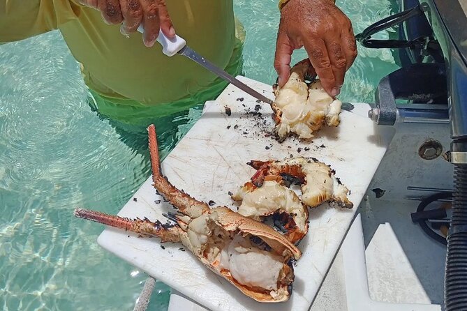 Private Snorkeling And Fishing Activity - Drinks, lunch, and what the $850 includes