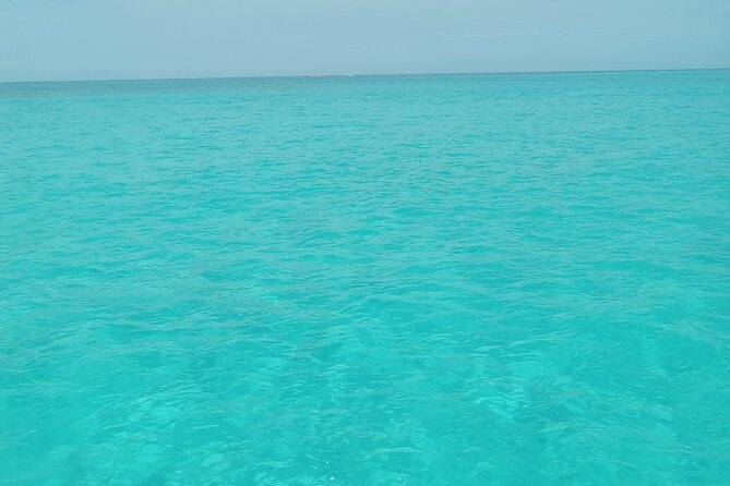 Private speed boat beach and bar hopping visiting Rose island - Key points to know before you book