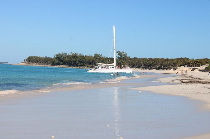 Private speed boat beach and bar hopping visiting Rose island - A practical look at the four-hour schedule