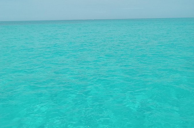 Private speed boat beach and bar hopping visiting Rose island - Who will get the most value from this charter