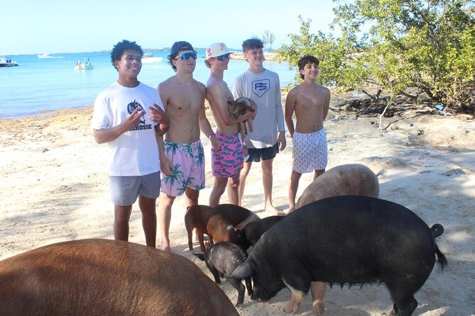 Private speed boat beach and bar hopping visiting Rose island - Three islands, three chances to slow down