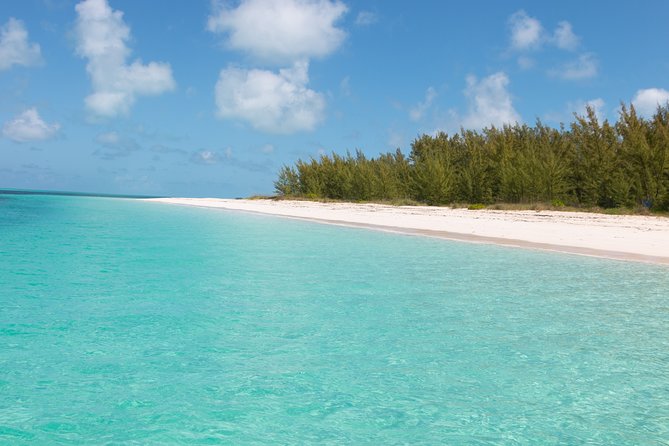 Private Speed Boat for Snorkeling or Fishing in Nassau - 34ft - What the 34-foot boat is like for a half-day