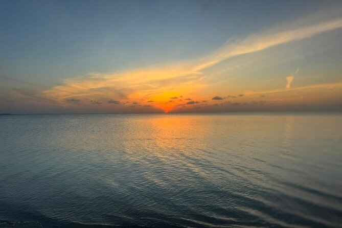 Private Swim With Pigs and Snorkeling in Paradise Tour - Swimming with pigs at Paradise Island