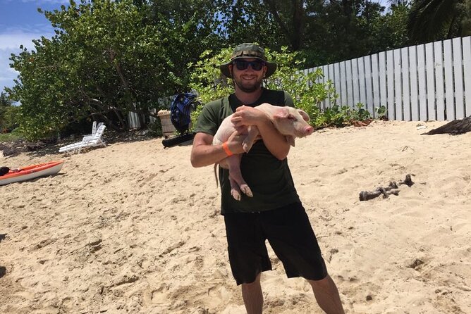 Private Swim With Pigs and Snorkeling in Paradise Tour - A quiet beach break between water stops