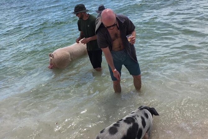 Private Swim With Pigs and Snorkeling in Paradise Tour - Who will enjoy this four-hour outing