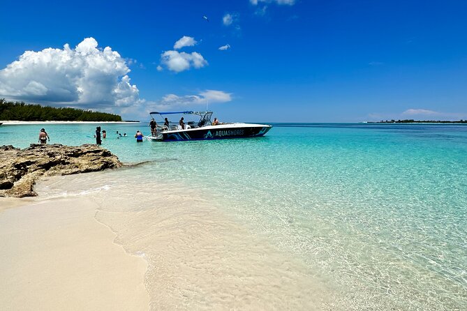 Private Tour 45ft Powerboat to Nearby Islands - Green Cay: turtles and a short reef stop