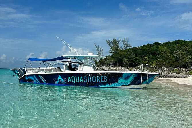 Private Tour 45ft Powerboat to Nearby Islands - Swimming pigs finish the island-hopping route