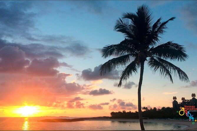Private Transfer in Nassau (Baha Mar and Surrounding Hotel) - Why Desiree’s service matters