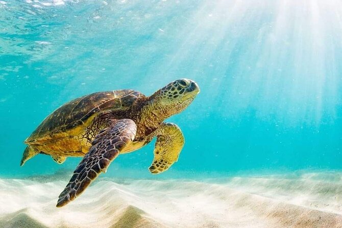 Rose Island 3 Island Luxury Private Tour(8hrs) - Timing, Meeting Point, and What to Plan
