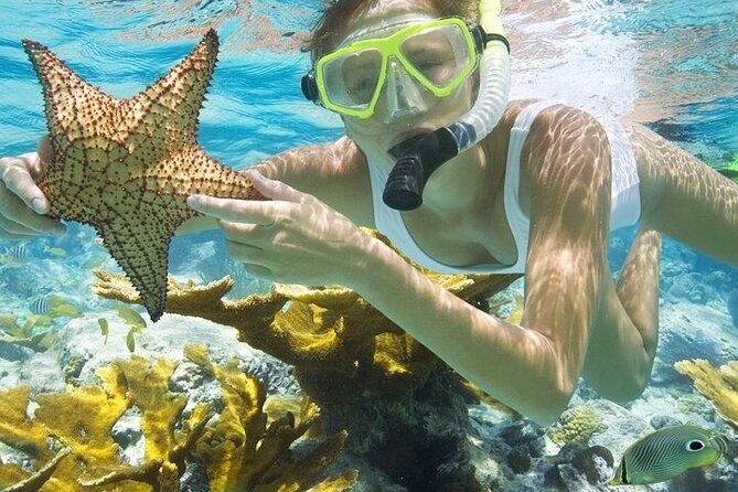 Rose Island Adventure: Snorkel, Sea Turtles, and Private Beach - Green Cay and the sea turtles