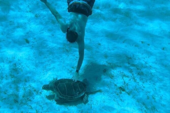Rose Island Adventure: Snorkel, Sea Turtles, and Private Beach - Who will enjoy Rose Island Adventure