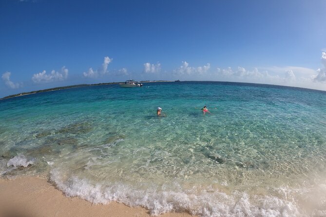 Rose Island Adventure: Turtle Swim and Snorkel - Who will enjoy this Rose Island outing?