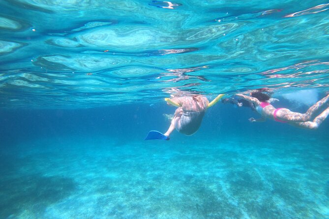Rose Island Adventure: Turtle Swim and Snorkel - Practical tips for making the most of three hours