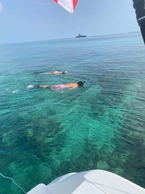 Rose Island: Pig Beach, Snorkeling, Sea Turtles, Beach - From Montague Dock to open water