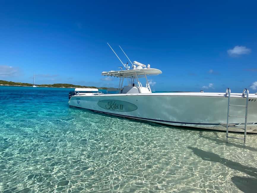 Rose Island: Pig Beach, Snorkeling, Sea Turtles, Beach - The optional pig experience costs extra