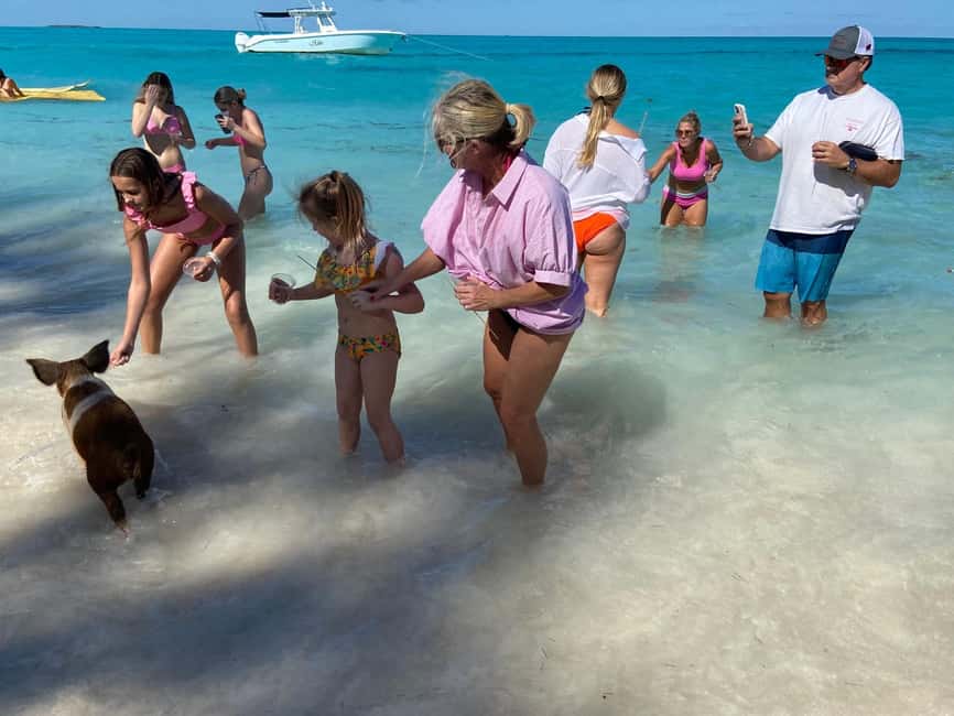 Rose Island: Pig Beach, Snorkeling, Sea Turtles, Beach - Who will enjoy this most?