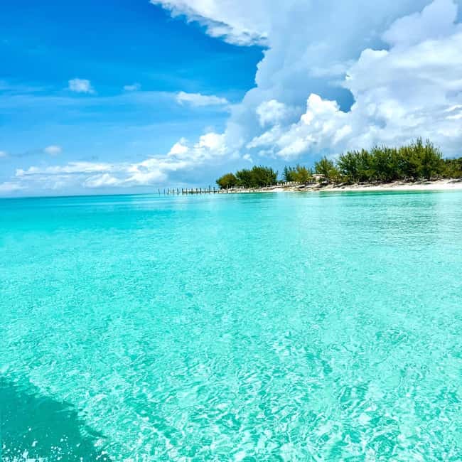 Rose Island: Pig Beach, Snorkeling, Sea Turtles, Beach - A speedboat ride with useful comforts