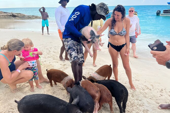 Rose Island Private Beach: Swimming with the Pigs - The boat ride from Margaritaville sets the tone
