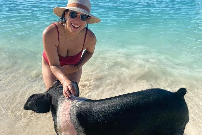 Rose Island Private Beach: Swimming with the Pigs - The private Rose Island beach club is the payoff