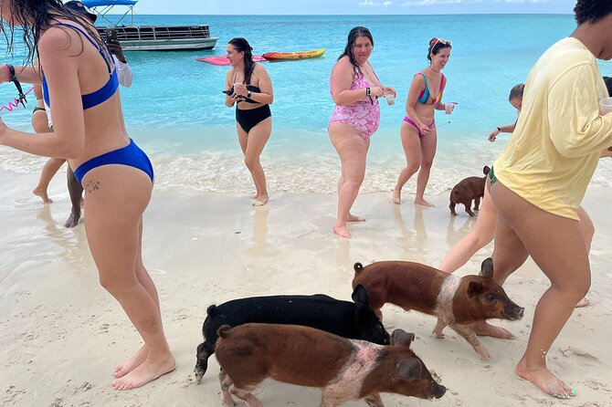 Rose Island Private Beach: Swimming with the Pigs - The biggest comfort issue: sand fleas