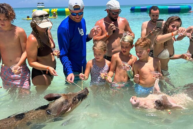 Rose Island Private Beach: Swimming with the Pigs - Rose Island Reef brings the first water stop