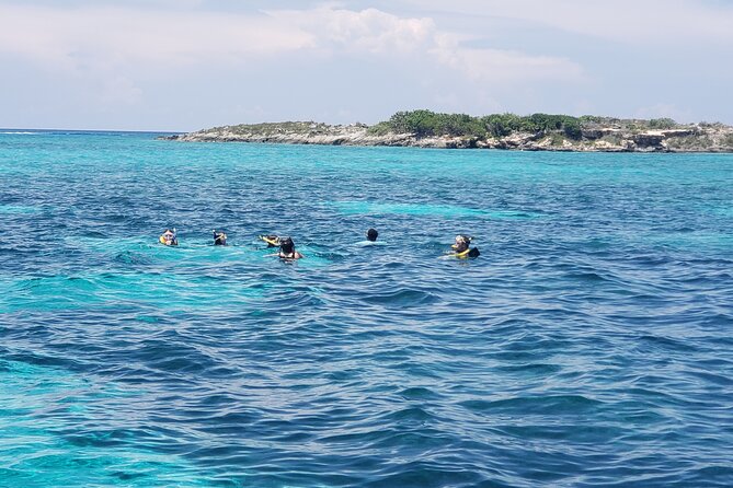 Rose Island: Private Snorkeling, Fishing, and Swimming with Pigs - The optional swimming-pigs stop