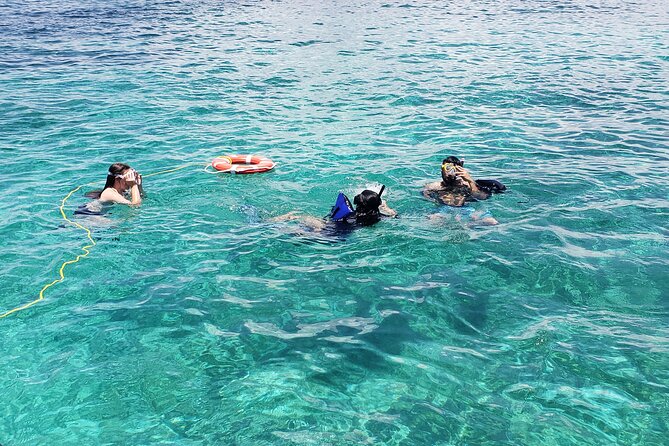 Rose Island: Private Snorkeling, Fishing, and Swimming with Pigs - How the crew shapes the experience