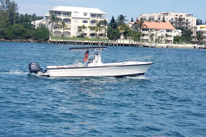 Rose Island: Private Snorkeling, Fishing, and Swimming with Pigs - Green Cay snorkeling and sea turtles