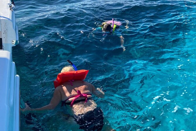 Rose Island Swimming Pigs - Practical details that can change your day